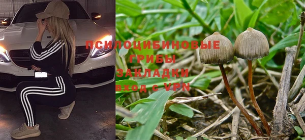 прущие крисы Верея