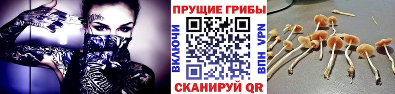 Галлюциногенные грибы мухоморы  Спас-Деменск 